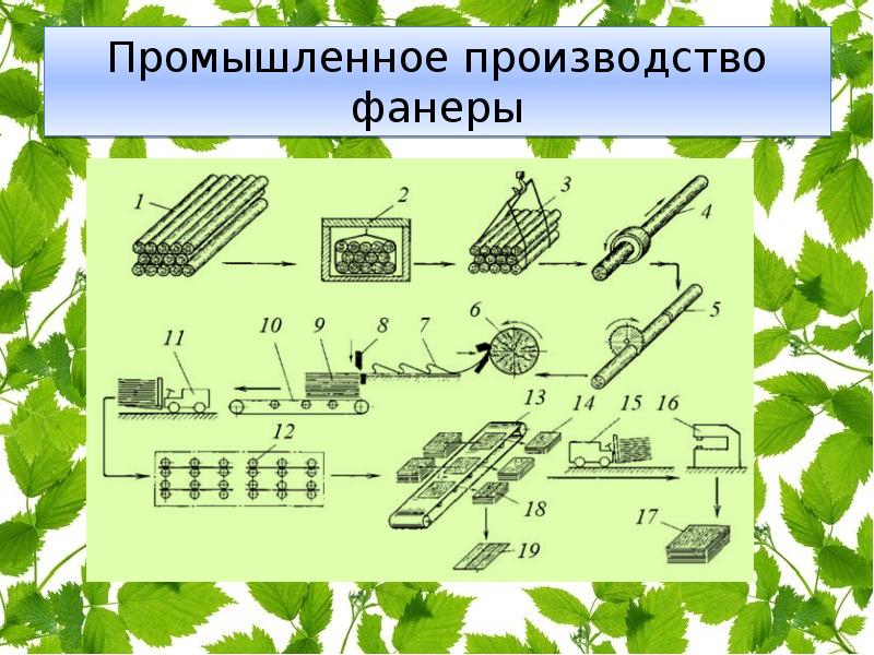 Технологическая схема производства фанеры