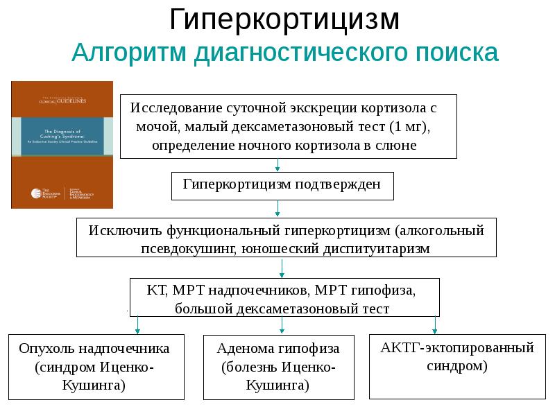 Гиперкортицизм Алгоритм диагностического поиска