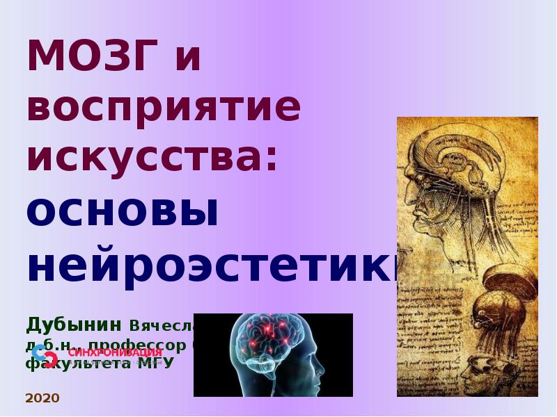 Мозг воспринимает. Мозг и восприятие искусства основы нейроэстетики. Дубынин нейрофизиология мозга. Мозг и эмоции Дубынин презентация. Дубынин презентации.