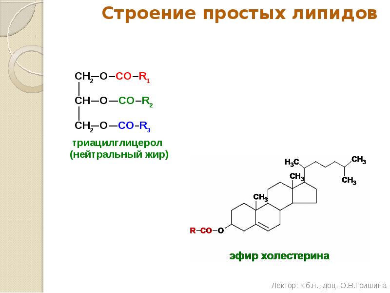 Простые липиды презентация