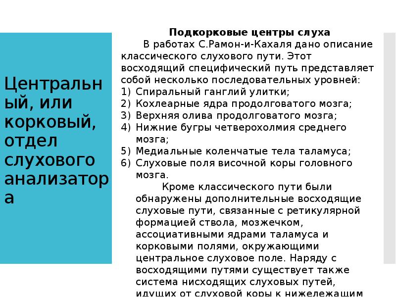 Центральный, или корковый, отдел слухового анализатора