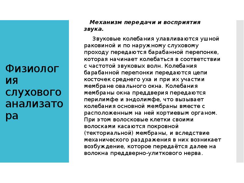 Физиология слухового анализатора    Механизм передачи и восприятия звука.&nbsp;