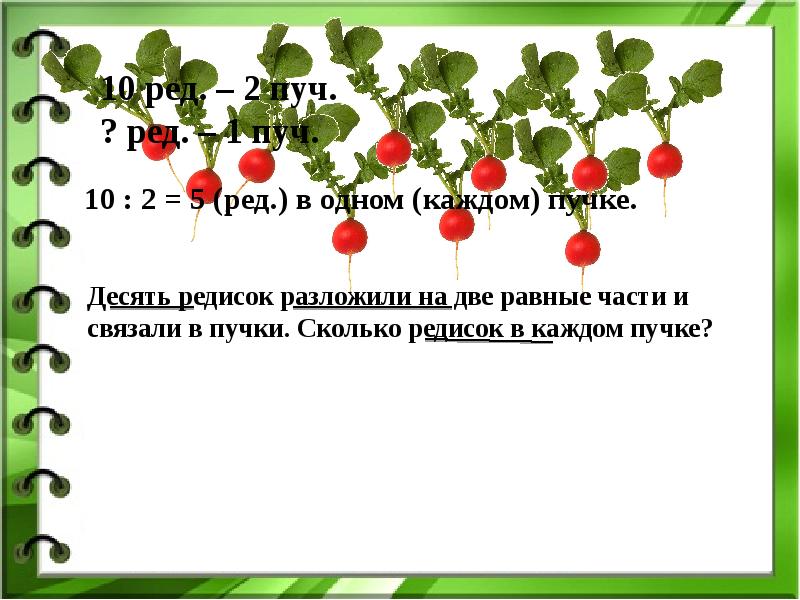 Деление на 10 2 класс презентация. Сколько редисок в пучке. Задачи на деление на равные части. Задачи на деление на равные части 2 класс. Решение задач на деление на равные части.