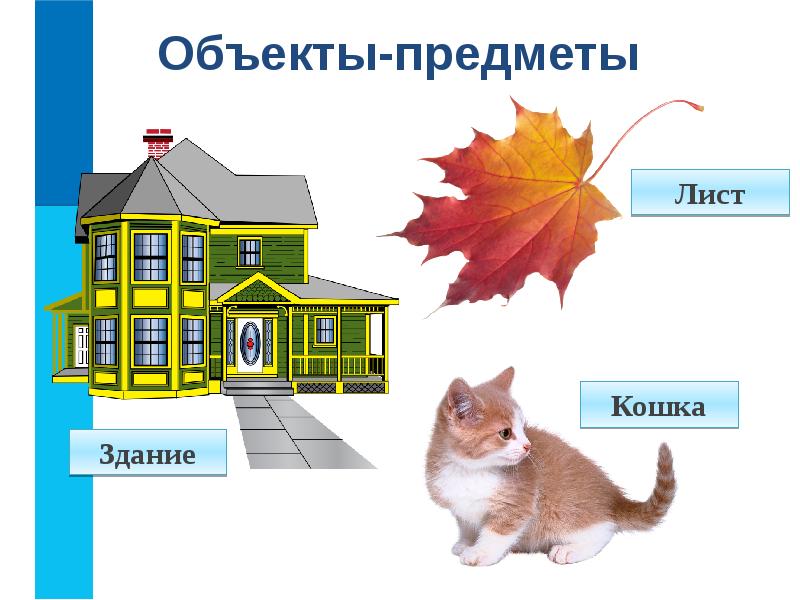 Виды объектов предмет. Объекты окружающего мира. Объект и предмет. Картинки объектов окружающего мира. Предмет и здания.