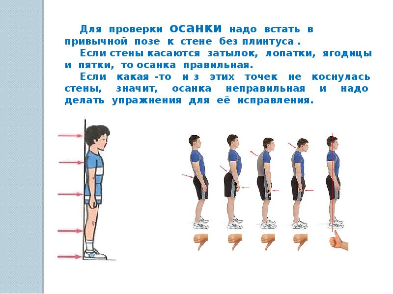 Физическое развитие подростков проект 7 класс