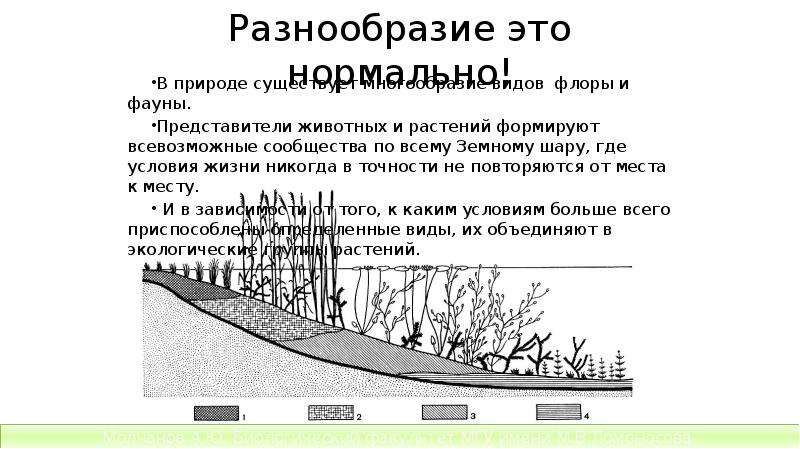 Разнообразие это нормально!
В природе существует многообразие видов флоры и фауны. Разнообразие это нормально!
В природе существует многообразие видов флоры и фауны.