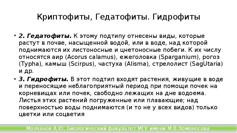 Криптофиты, Гедатофиты. Гидрофиты
2. Гедатофиты. К этому подтипу отнесены виды, которые растут Криптофиты, Гедатофиты. Гидрофиты
2. Гедатофиты. К этому подтипу отнесены виды, которые растут