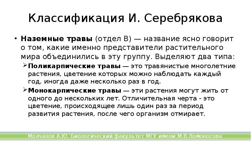 Классификация И. Серебрякова
Наземные травы (отдел В) — название ясно говорит Классификация И. Серебрякова
Наземные травы (отдел В) — название ясно говорит