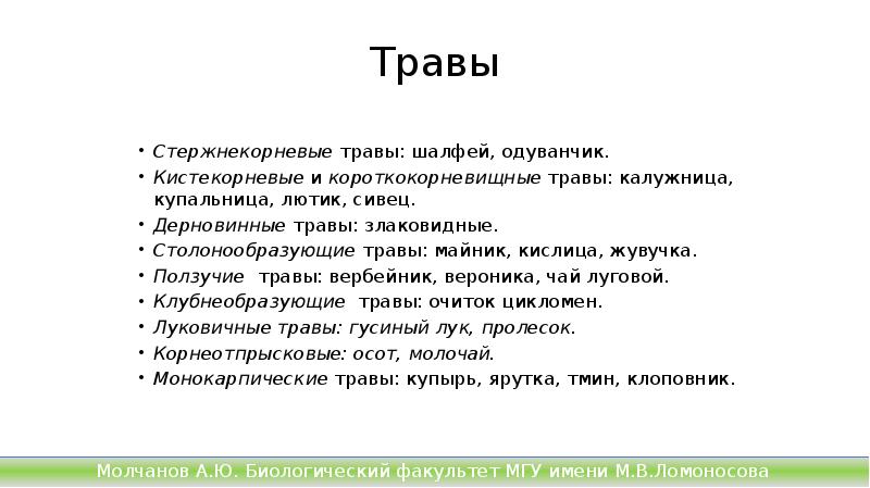 Травы
Стержнекорневые травы: шалфей, одуванчик.
Кистекорневые и короткокорневищные травы: калужница, купальница, лютик, сивец.
Дерновинные травы: Травы
Стержнекорневые травы: шалфей, одуванчик.
Кистекорневые и короткокорневищные травы: калужница, купальница, лютик, сивец.
Дерновинные травы: