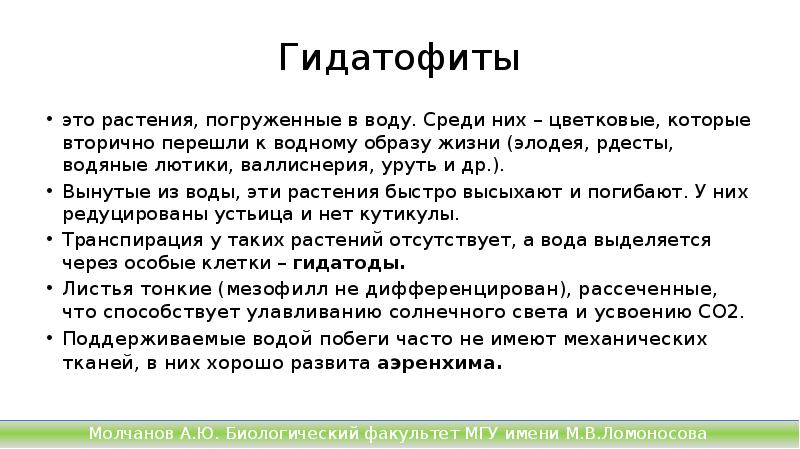 Гидатофиты
это растения, погруженные в воду. Среди них – цветковые, которые Гидатофиты
это растения, погруженные в воду. Среди них – цветковые, которые