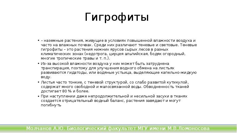 Гигрофиты
– наземные растения, живущие в условиях повышенной влажности воздуха и Гигрофиты
– наземные растения, живущие в условиях повышенной влажности воздуха и