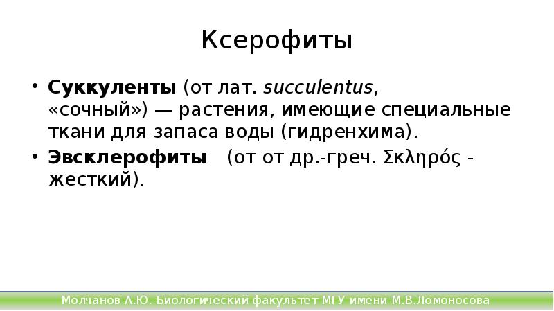 Ксерофиты
Суккуленты (от лат. succulentus, «сочный») — растения, имеющие специальные ткани для запаса воды (гидренхима).
Ксерофиты
Суккуленты (от лат. succulentus, «сочный») — растения, имеющие специальные ткани для запаса воды (гидренхима).