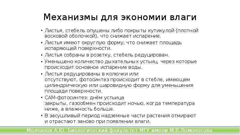 Механизмы для экономии влаги
Листья, стебель опушены либо покрыты кутикулой (плотной восковой оболочкой), Механизмы для экономии влаги
Листья, стебель опушены либо покрыты кутикулой (плотной восковой оболочкой),