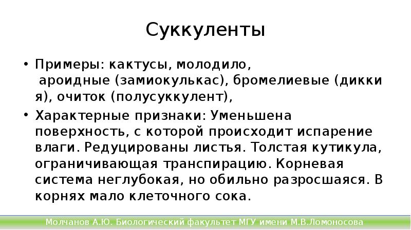 Суккуленты
Примеры: кактусы, молодило, ароидные (замиокулькас), бромелиевые (диккия), очиток (полусуккулент),
Характерные признаки: Уменьшена Суккуленты
Примеры: кактусы, молодило, ароидные (замиокулькас), бромелиевые (диккия), очиток (полусуккулент),
Характерные признаки: Уменьшена