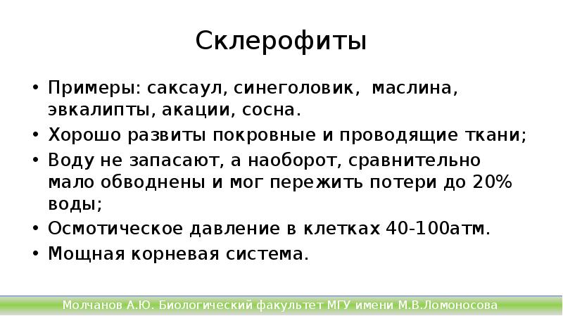 Склерофиты
Примеры: саксаул, синеголовик, маслина, эвкалипты, акации, сосна.
Хорошо развиты Склерофиты
Примеры: саксаул, синеголовик, маслина, эвкалипты, акации, сосна.
Хорошо развиты