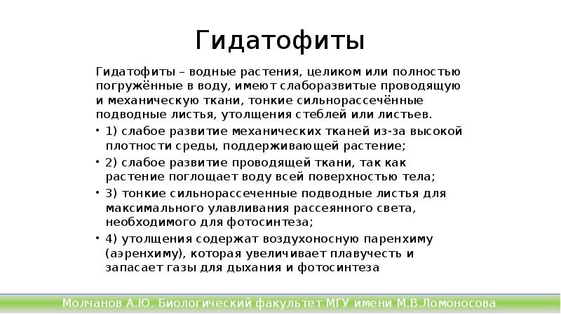 Гидатофиты
Гидатофиты – водные растения, целиком или полностью погружённые в воду, Гидатофиты
Гидатофиты – водные растения, целиком или полностью погружённые в воду,