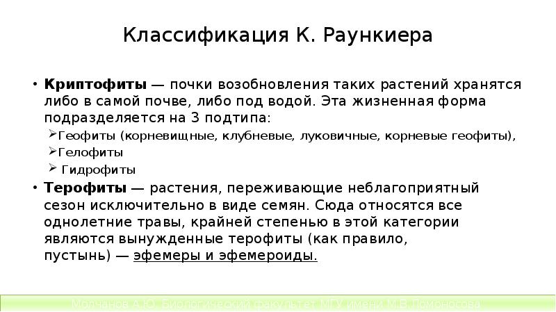 Классификация К. Раункиера
Криптофиты — почки возобновления таких растений хранятся либо Классификация К. Раункиера
Криптофиты — почки возобновления таких растений хранятся либо