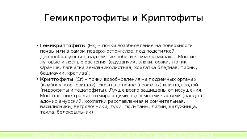 Гемикпротофиты и Криптофиты
Гемикриптофиты (Hk) – почки возобновления на поверхности почвы или Гемикпротофиты и Криптофиты
Гемикриптофиты (Hk) – почки возобновления на поверхности почвы или