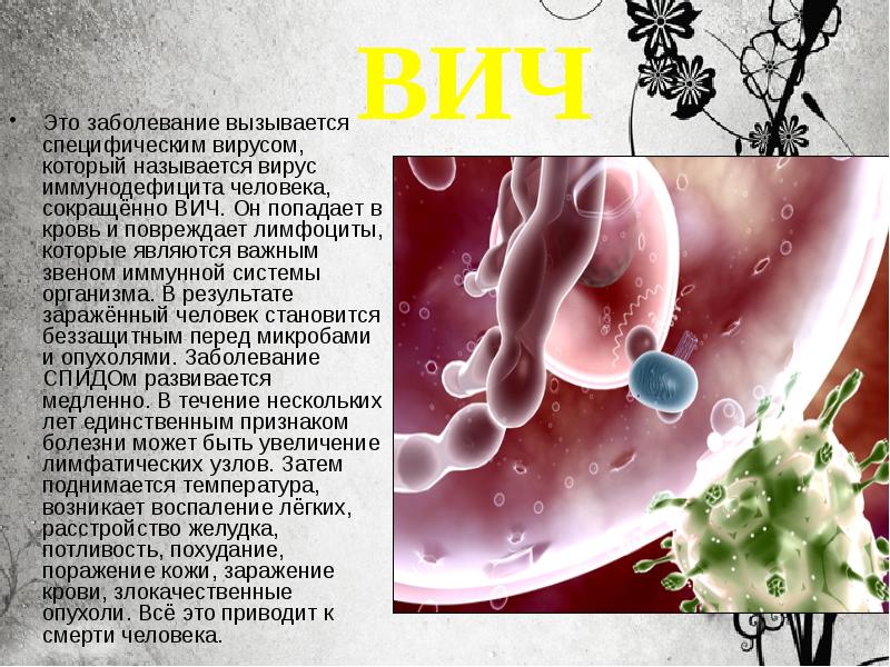 При проникновении в организм человека вич поражает