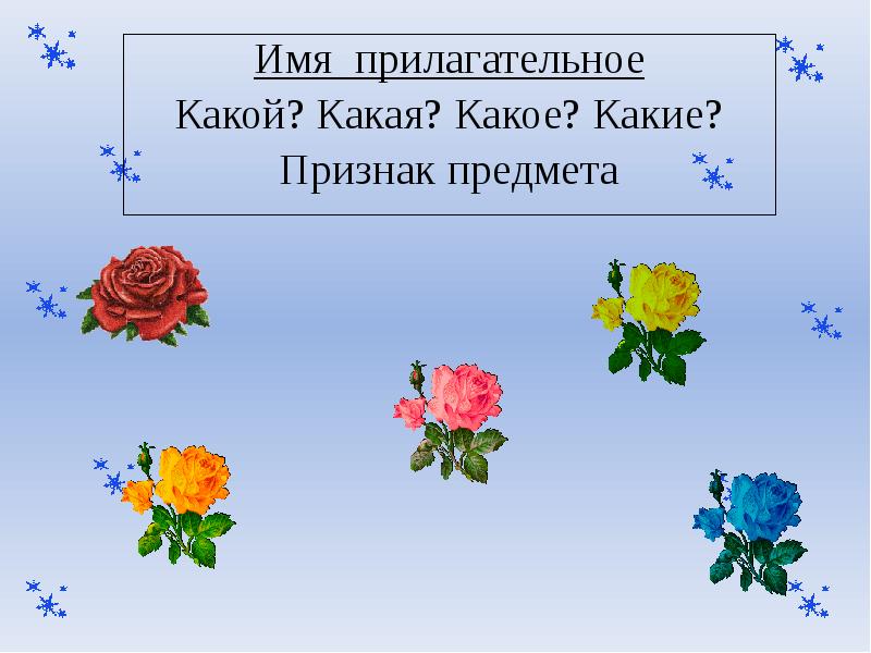 Какой какая какие презентация 2 класс. Цветы какие прилагательные. Цветы какой, какая, какое.