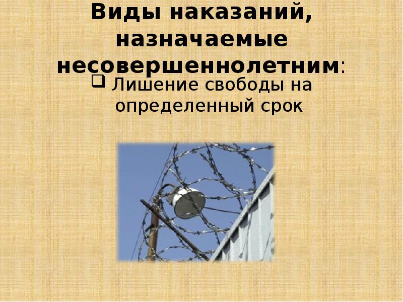 Лишение свободы на определенный срок презентация