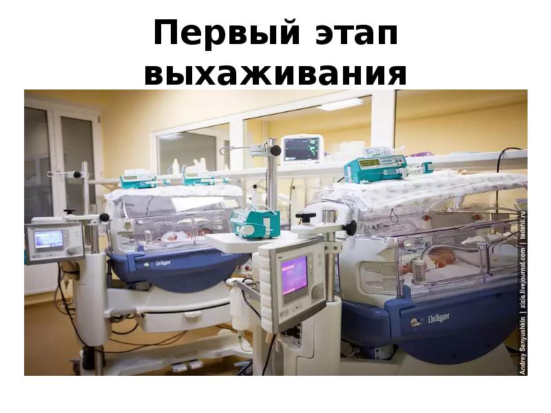 Первый этап выхаживания
