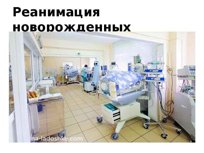 Реанимация новорожденных