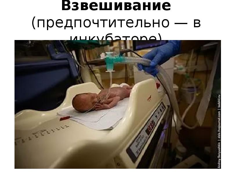 Взвешивание (предпочтительно — в инкубаторе)