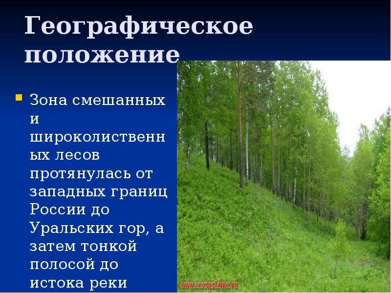 смешанные и широколиственные леса климат таблица. зона тайга таблица природные зоны. географическое положение широколиственных лесов в рф. климат смешанных и широколиственных лесов в россии. смешанные и широколиственные леса таблица 8.