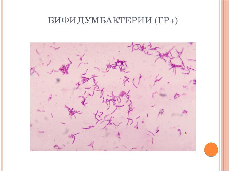 Общая вирусология презентация микробиология