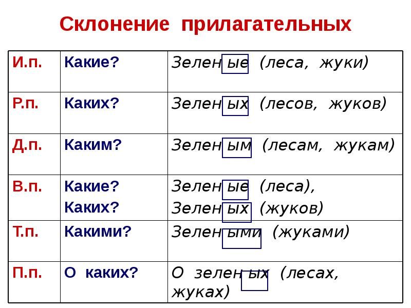 В каком слове пишется на конце ь пара галош брошь чертеж товарищ