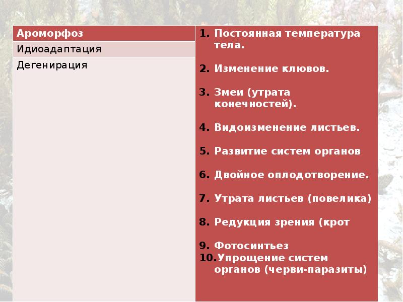 Пути достижения биологического прогресса презентация