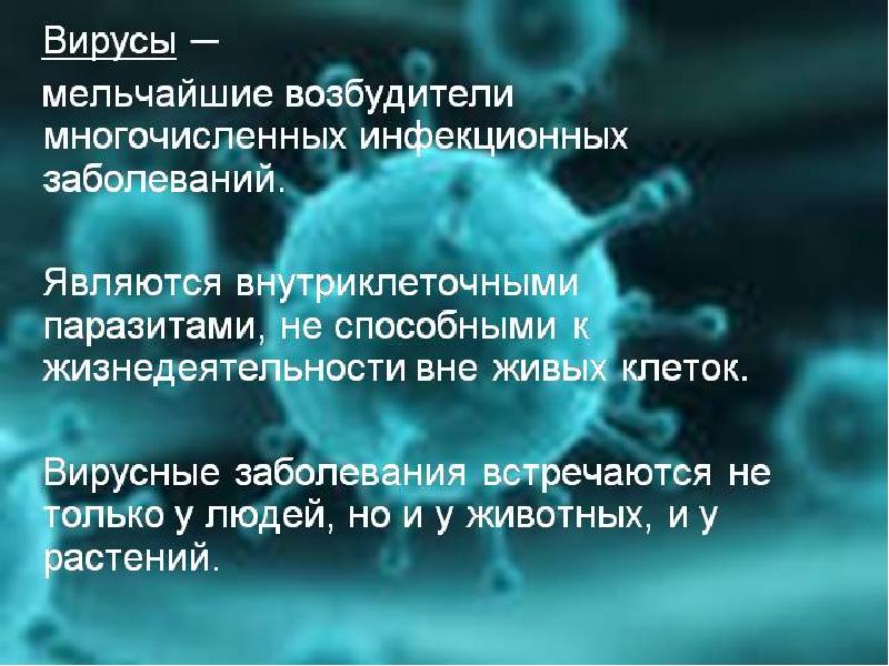 Проект вирусные заболевания