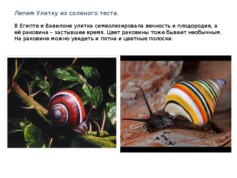 Лепим Улитку из соленого теста. В Египте и Вавилоне улитка символизировала