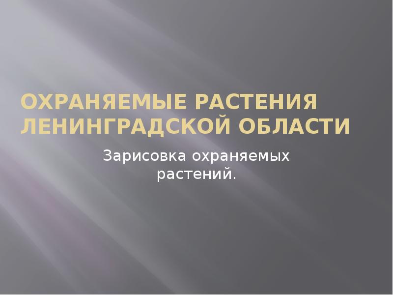 Охраняемые растения ленинградской области презентация