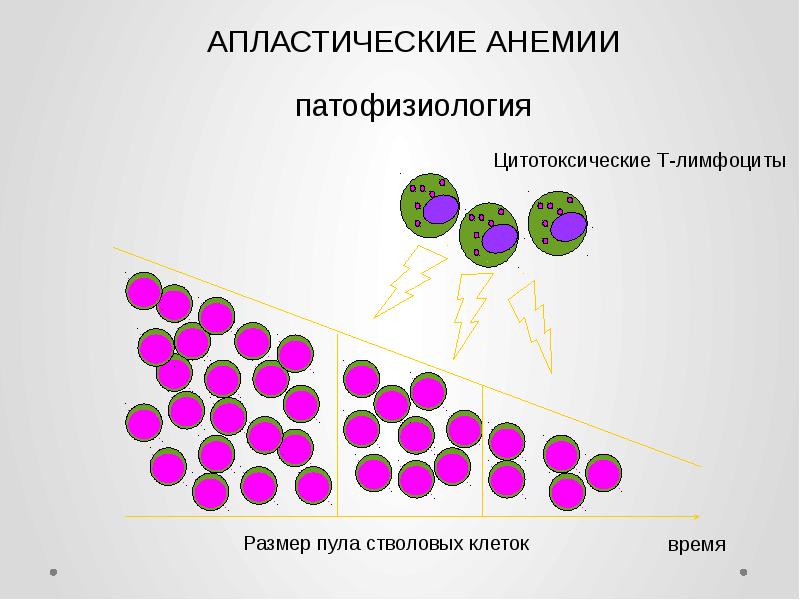 Апластические анемии презентация