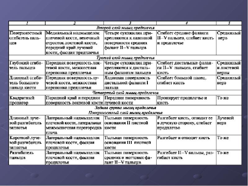 Группы мышц таблица. Мышцы верхних и нижних конечностей таблица. Мышцы предплечья анатомия т. Мышцы нижних конечностей анатомия таблица. Мышцы плечевого пояса анатомия таблица.