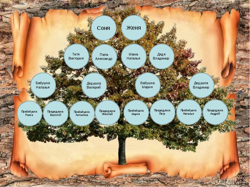 Проект мое генеалогическое древо 9 класс
