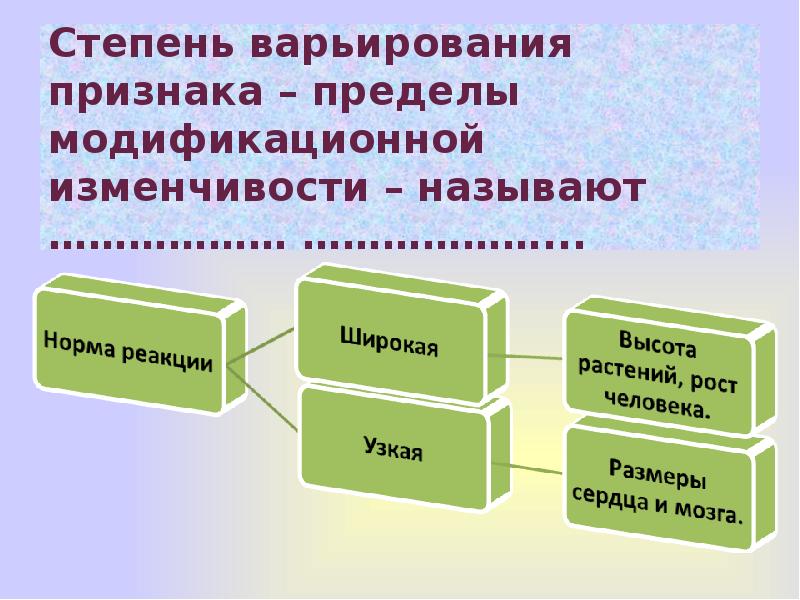 Модификационная изменчивость норма реакции тест