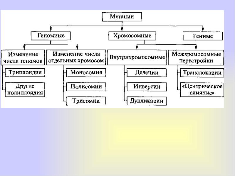 Изменчивость таблица схема