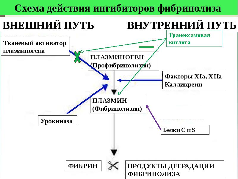 Схема фибринолиза физиология