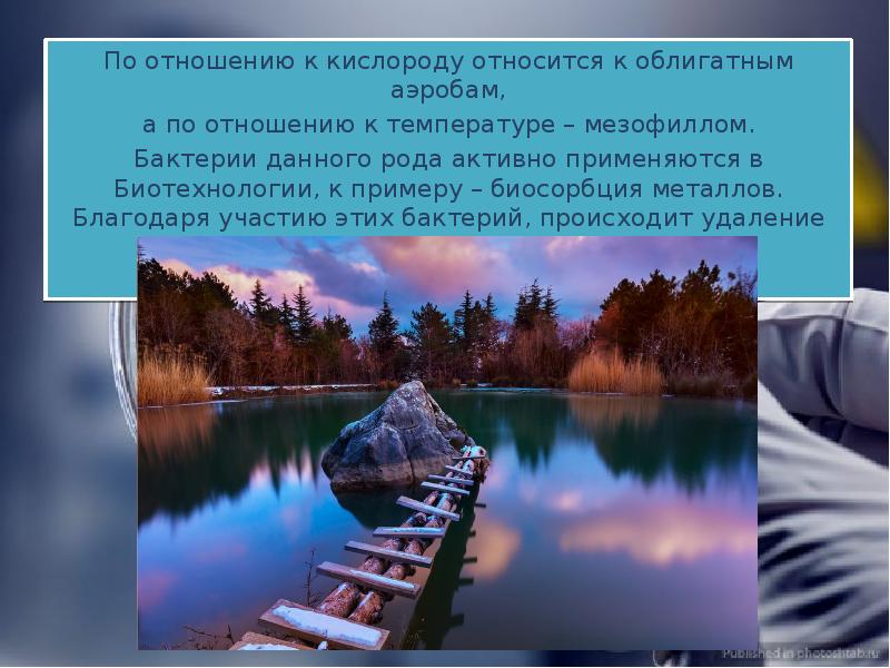 Отношение к кислороду. Биосорбция тяжелых металлов. Биосорбция сточных вод. Биосорбция тяжелых металлов из стоков. Облигатная вода это.