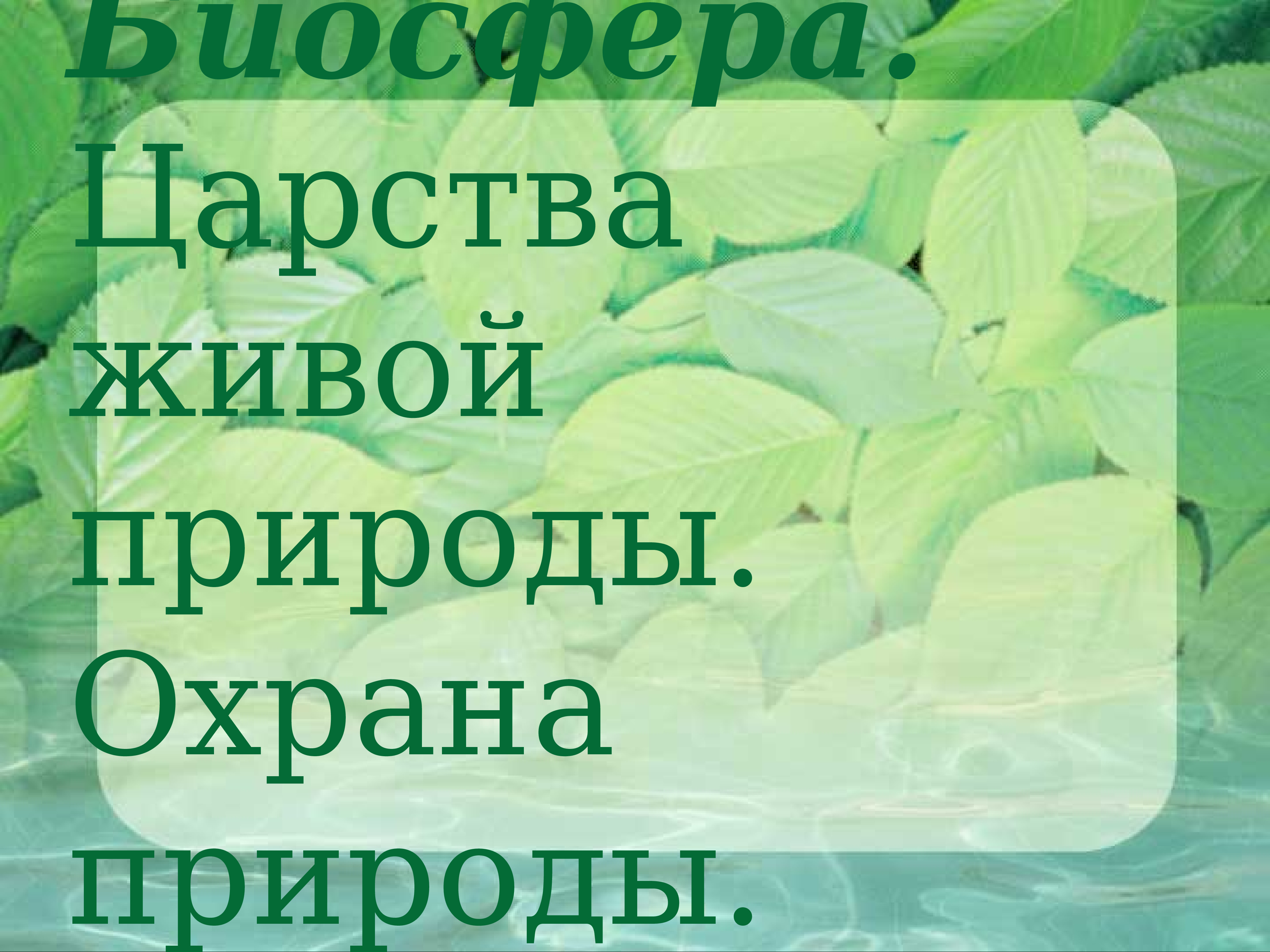 Охрана природы презентация 6 класс презентация биология