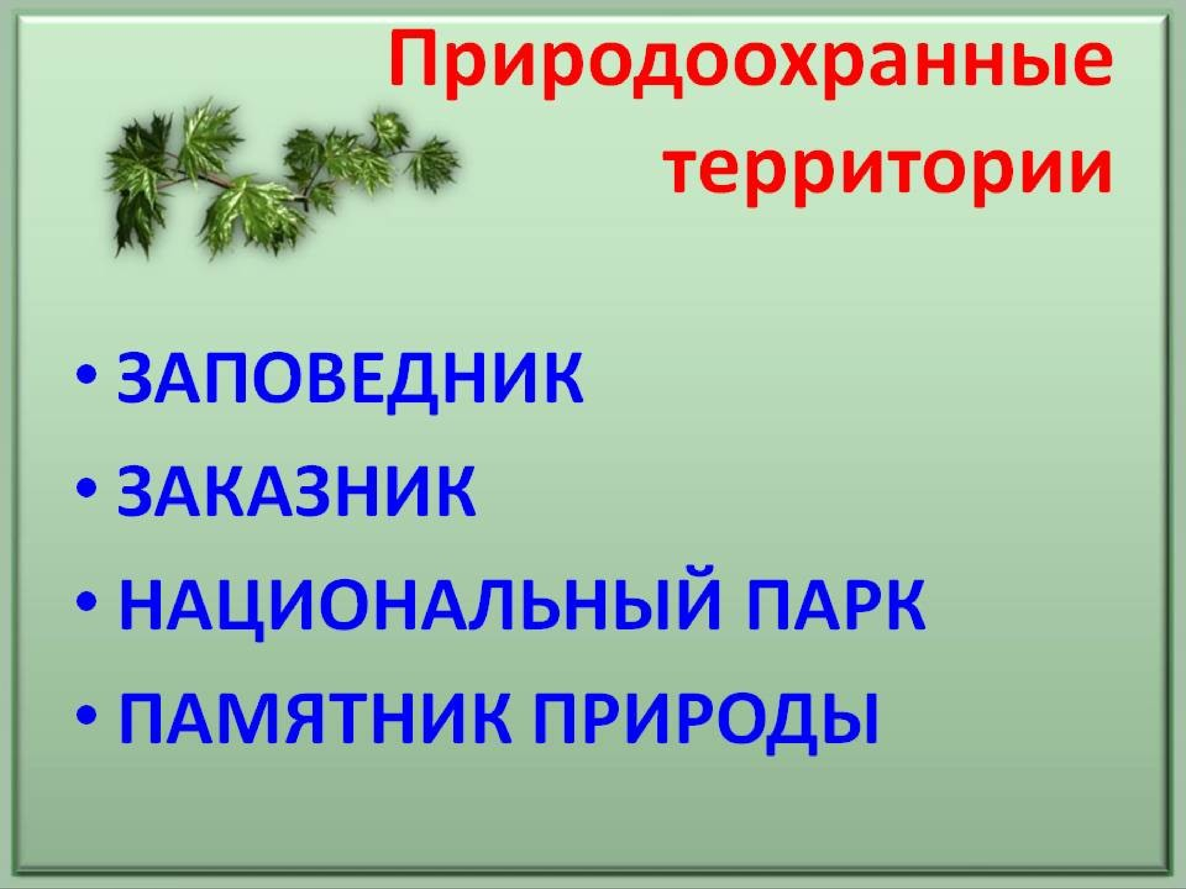 Заповедники заказники национальные парки памятники природы презентация