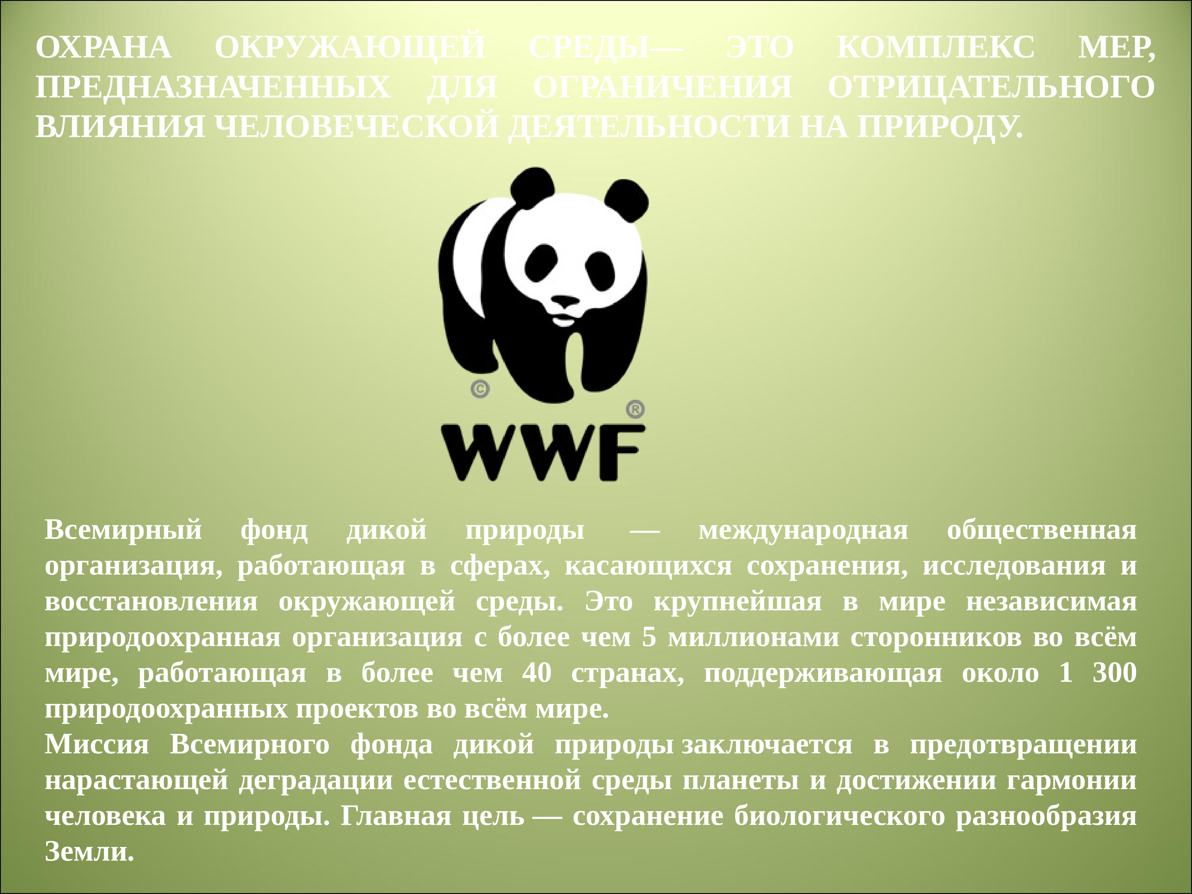 Виды охраны природы. Охрана живой природы. Охрана природы презентация. Защита природы презентация. Организации охраны природы.