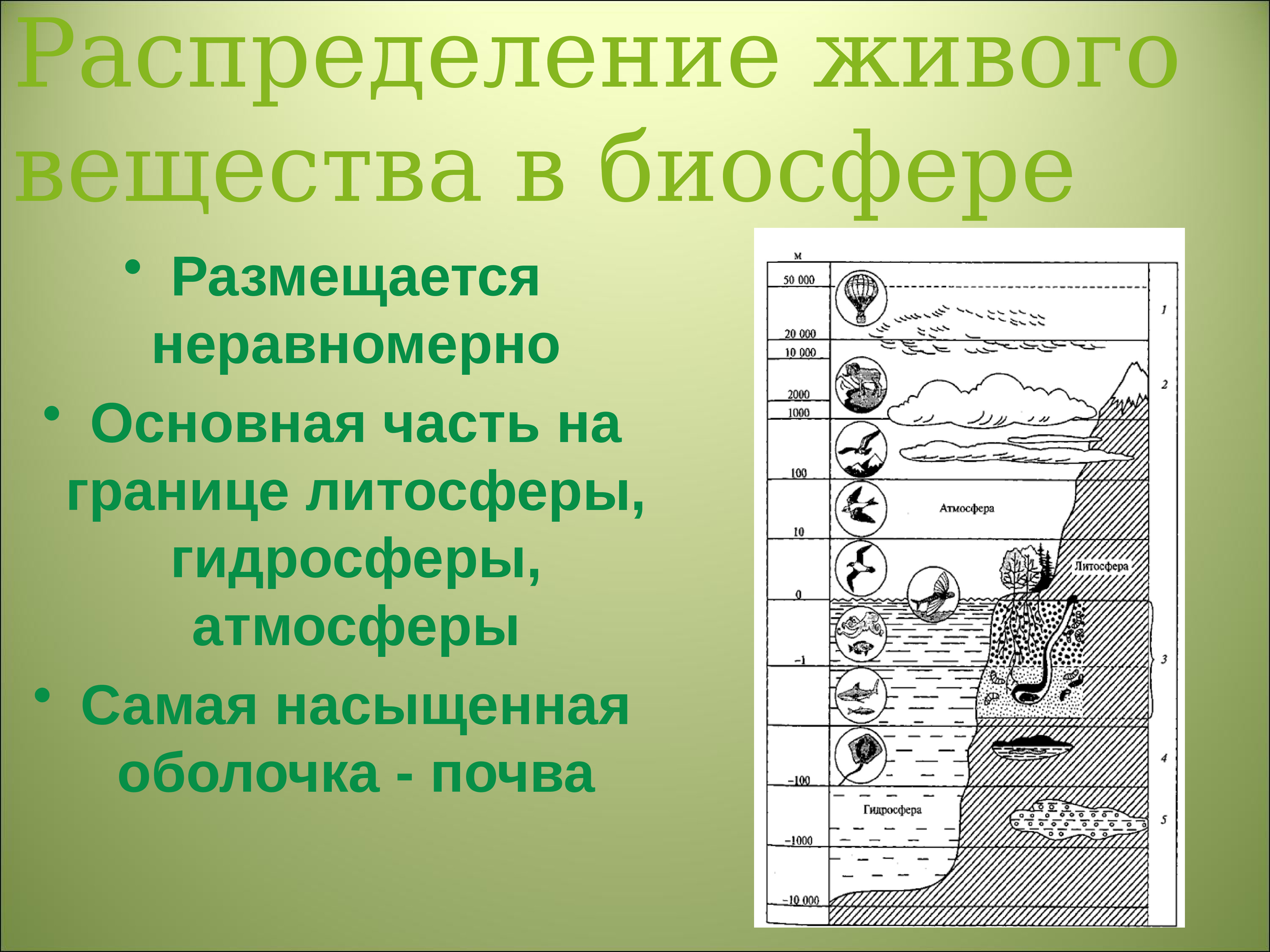 Структура биосферы 8 класс презентация