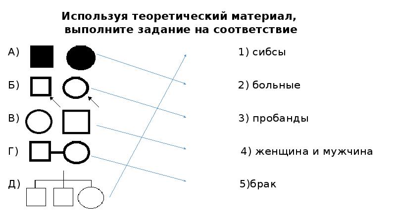 Сибсы. Родные СИБСЫ это. Сводные СИБСЫ. СИБСЫ дети пробанда.