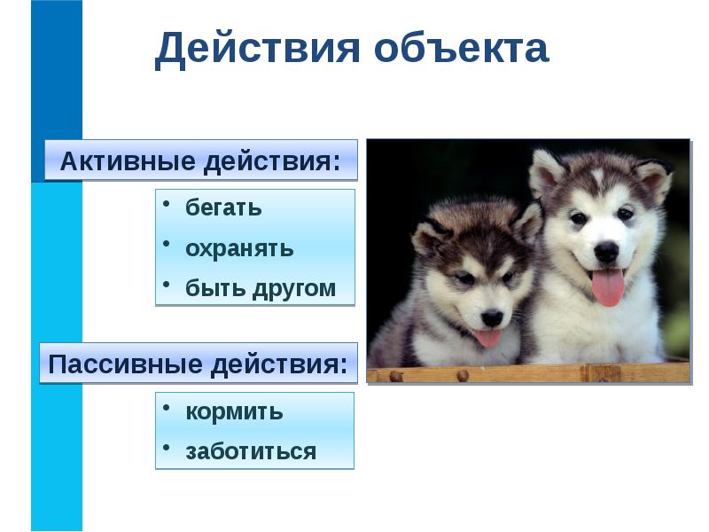 Проект по информатике 6 класс объект окружающего мира