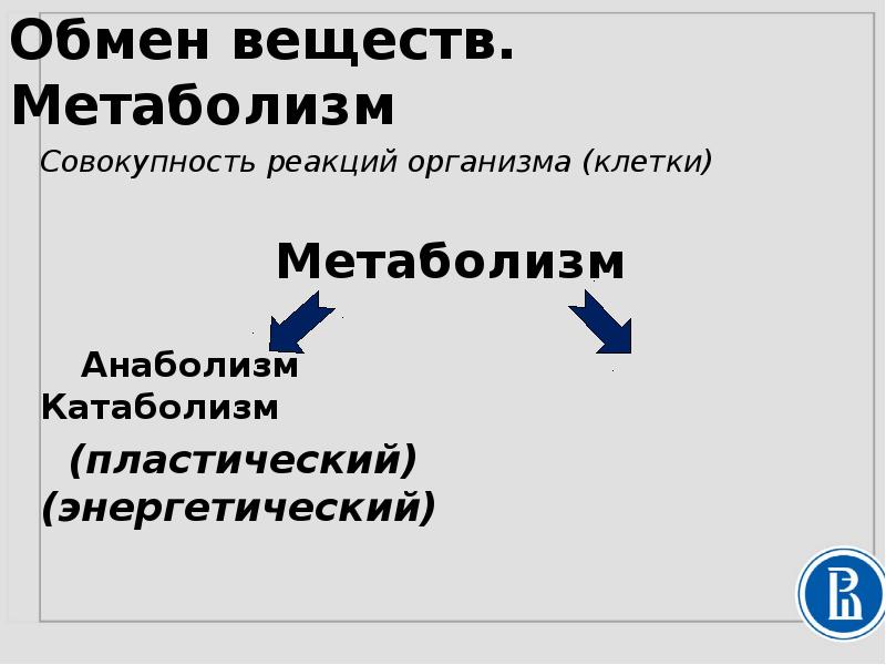 Обмен реферат