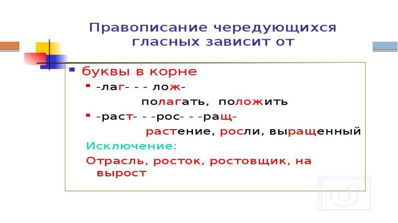 Орфограммы в окончаниях слов 5 класс презентация